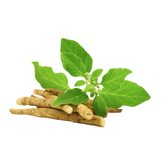 Ashwagandha KSM 66