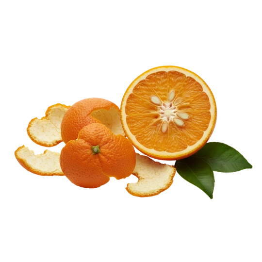 Citrus Aurantium