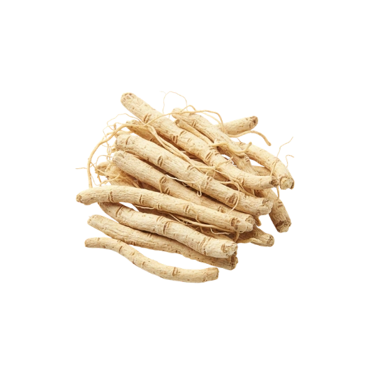Asparagus Officinalis (Shatavri)
