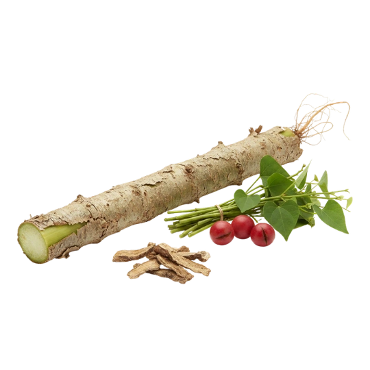 American Ginseng