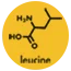 Leucine 