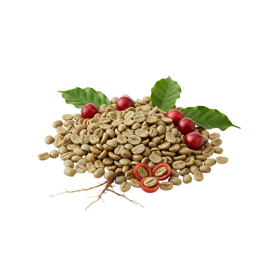 Green Coffee Extract