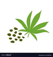  Hemp Seed