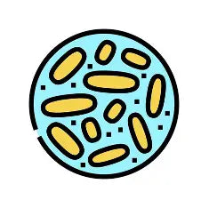 Probiotic 1 - Lactobacillus casei