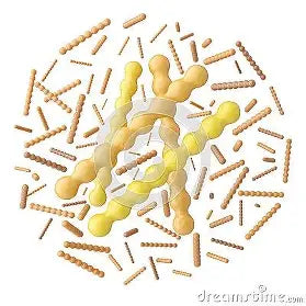 Probiotic 3 - Streptococcus thermophilus