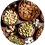 Nexus EAA Essential Amino Acids