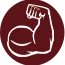 Higher Whey Isolate Total Protein